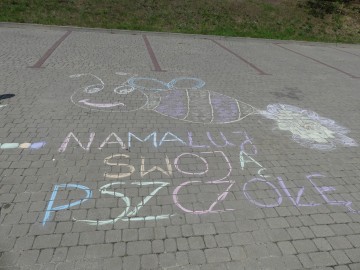 Namaluj swoja pszczołę, <p>fot. S. Piskorski</p>